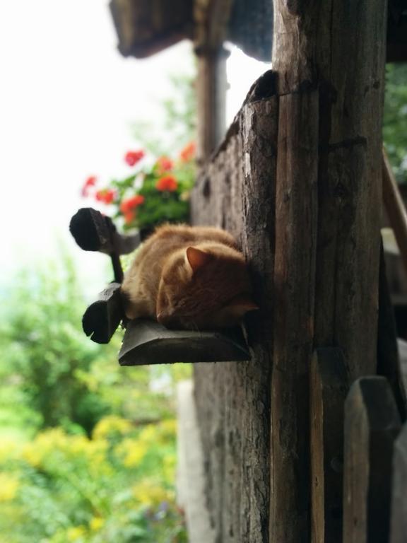Ferienwohnung Unterbrunnerhof Lana Zimmer foto